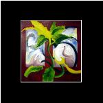 Alligator Plant  $1000