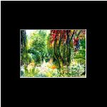 Giverny I  $350