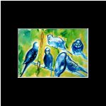 Sammy and Blue II  $300
