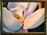 Magnolia Flower 1